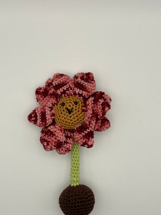 Babyrassel kleine Blume